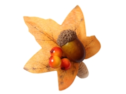 Anéis De Guardanapos Maple Decorar Halloween Ajudar Thanksgiving