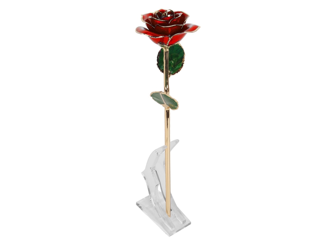 Rosa Dourada 24k Preservada Aniversário Vermelha