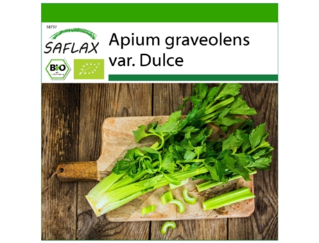 SAFLAX Orgânico Aipo Alto Utah Apium Graveolens Var. Dulce 500 Sementes com Substrato de Cultivo Livre de Germes
