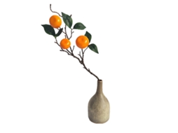 Laxiscreed Simulation Fruit Laranja De Três Cabeças Para Diversão Realista