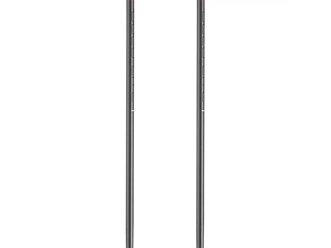 LEKI ALPINO Pólos Bold Lite S Prateado 125 cm
