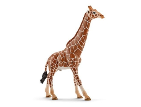 Figura  Girafa Macho