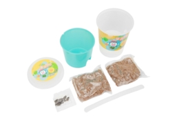 Kit de Crescimento de Plantas DIY com Sementes e Solo para Crianças | S/MARCA