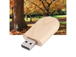 HURRISE Usb 3.0 Memory Oval Maple Wood Shell Usb 3.0 Flash Memory Drive Storage Stick com Disco
