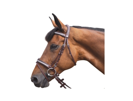 Cabeçotes de cavalo FLAGS&CUP Kitsi