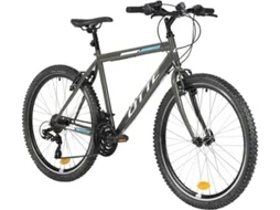 Bicicleta Infantil OTTE Asteron (11 anos - Cinzento - 26")