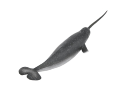 Primerox figura de Baleia narval de Plástico Sólido Modelo Animal Marinho Brinquedo Educativo para Crianças