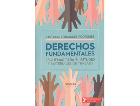 Livro Derechos Fundamentales de José Julio Fernández Rodríguez (Espanhol)