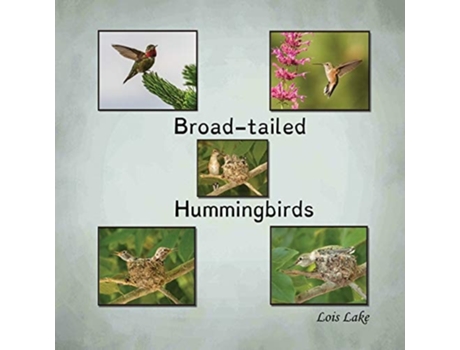 Livro Broad-tailed Hummingbirds De Lois Lake (inglês)
