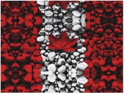 Manta de Flanela Moderna com Estampa da Bandeira Canadense Confortável Macia e Quente Ideal para Sofá Quarto 1