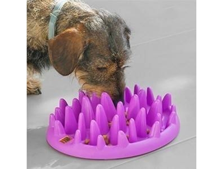 Comedouro Interativo para Animais de Estimação