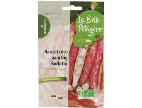 Coco Anão Borlotto Grande LA BELLE POTAGÍRE 50 G
