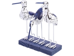 Conjunto 3 Estatuetas Madeira Representando Marinhas Azuis Decoração Elegante Sofisticada Ocasiões Especiais GOKOCO