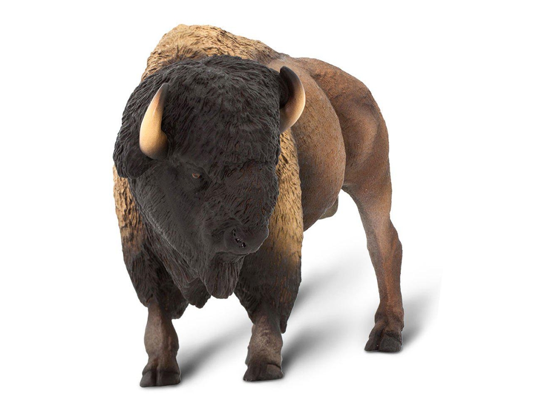 SAFARI Wildlife Bison