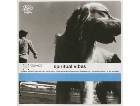 Cd Spiritual Vibes 99 Records
