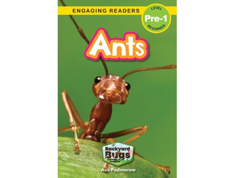 Livro Ants Backyard Bugs And Creepy-crawlies De Podmorow, Ava Et Al. (inglês)