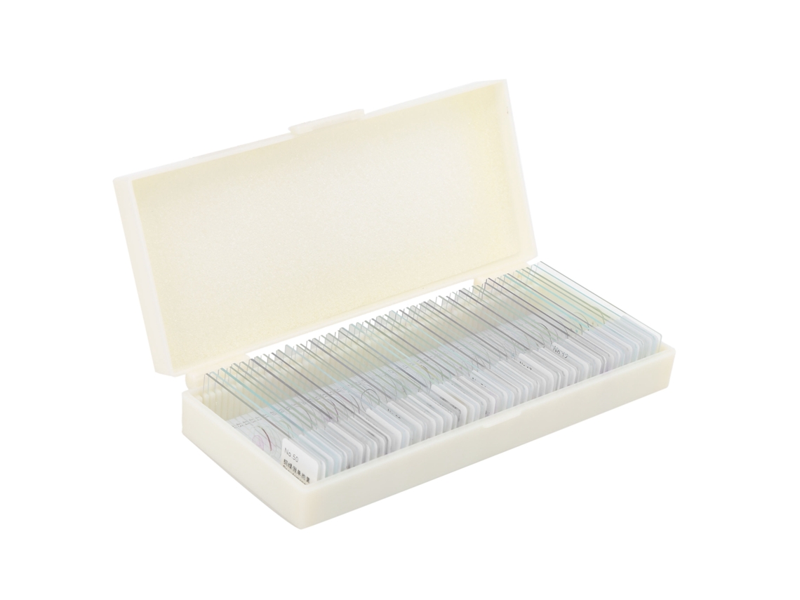 Lâminas Bacterianas (padrão Superior, Fácil Observação)