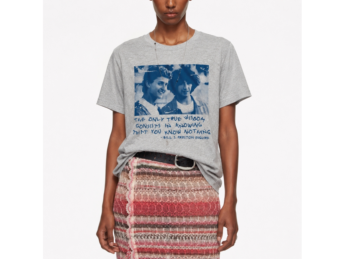 Rockinstone Bill And Ted Knowing Nothing Halftone Heather Gray Adult T-shirt Size:l