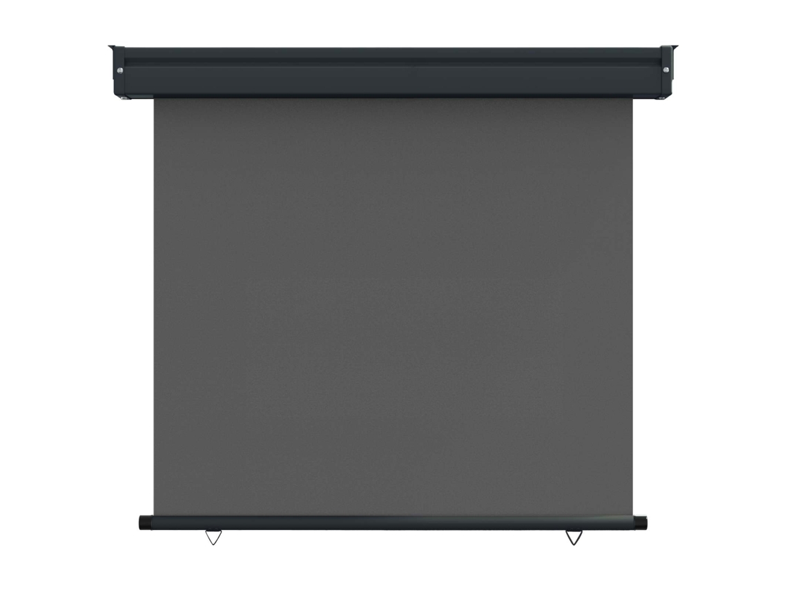 Maison Exclusive - Toldo Lateral De Varanda 80 X 250 Cm