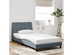Vidaxl Estrutura De Cama Sem Colchão Hanko 100x200 Cm Veludo Cinzento-escuro