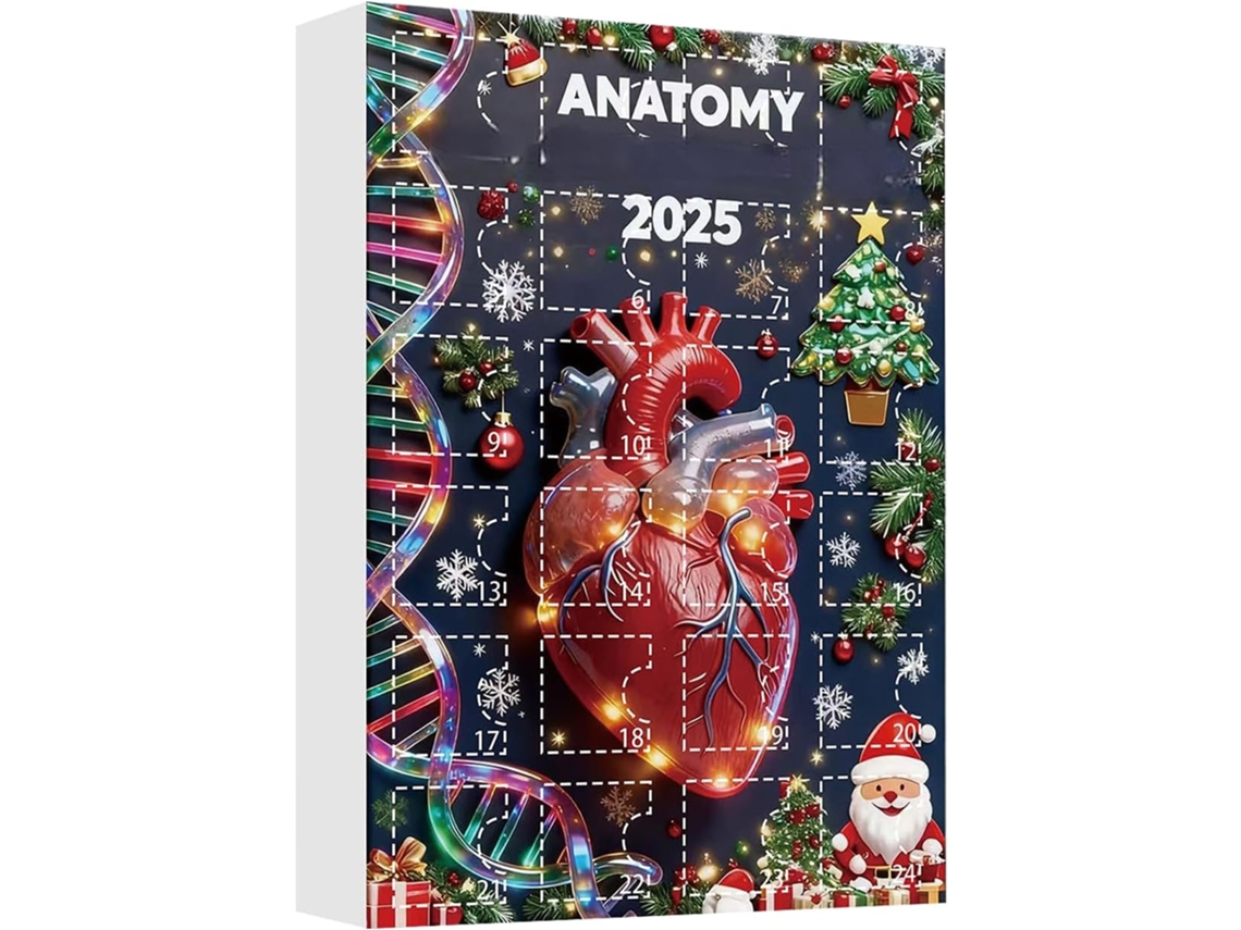 Calendário Do Advento Com 24 Figuras Em 2d
