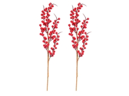 2 Unidades de Frutas de Natal ALLINLESS