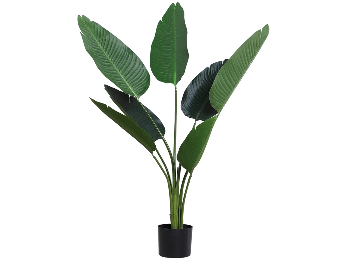 Artificial Plants, De Uso Comum