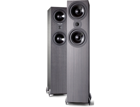Coluna Chão  SX80B Par