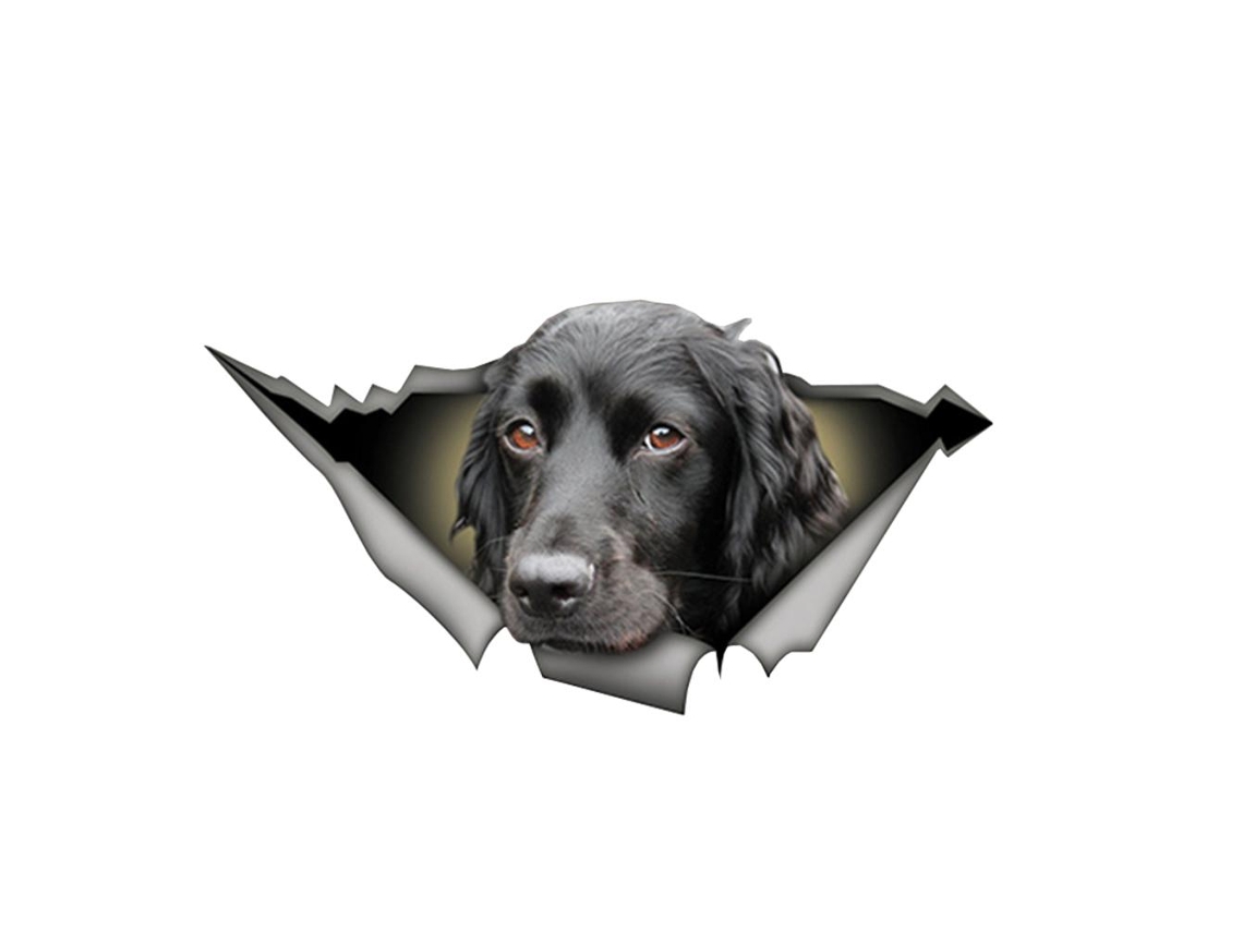 Adesivo 3d Cão Personalizado Carro Janela Parede Caderno Prova D'água S/MARCA