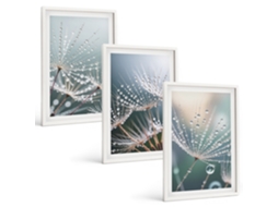 Conjunto De Pinturas Gotas De Água Em Brotos, Dentes-de-leão Espelharte (3 Peças 40x60 Cm)