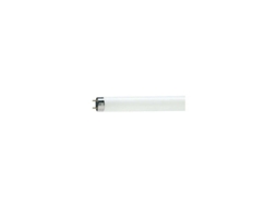Tubo Fluorescente Para Fonte De Alimentação 36w Philips 70622540