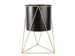 Vaso de Plantas Mais Velho ALLINLESS