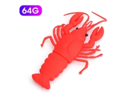 Pen Drive Usb Cartoon LAXISCREED 64g