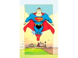 Livro Superman As Quatro Estações De Tim Sale (português Do Brasil)