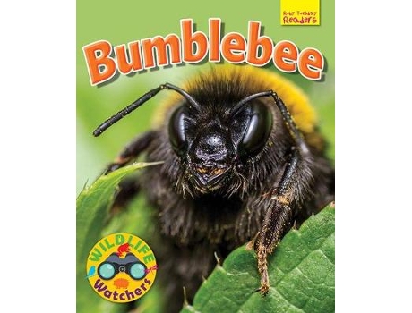Livro wildlife watchers: bumblebee de owen, ruth (inglês)
