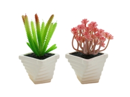 2Pcs Plantas Suculentas em Vaso Criativas Pequenos Ornamentos NEVEANCE