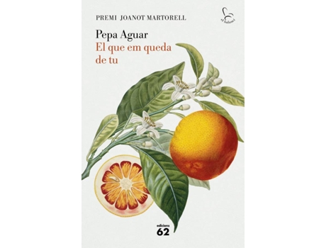 Livro El Que Em Queda De Tu de Pepa Aguar (Catalão)