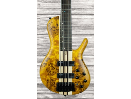 Cort A5 Plus Sc Amber Open Pore