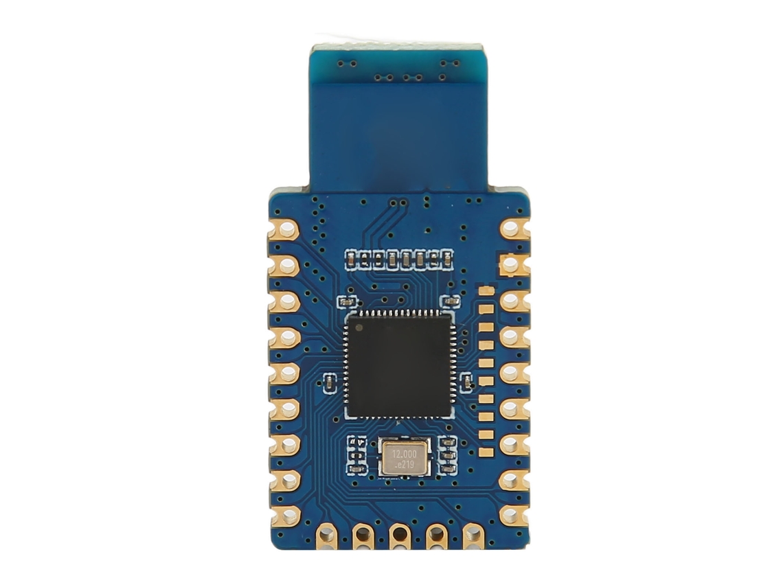 Placa Rp2040 Tipo a LAXISCREED 4mb