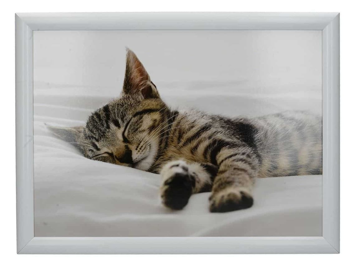 CREATIVE TOPS Laptray Gatinho Adormecido