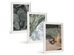 Pinturas Murais Modernas Férias Com Plantas Tropicais Moldura Branca Quadros Para O Escritório Espelharte (3 Piezas De 40x60 Cm)