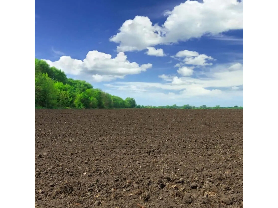 Terra Fértil Econômica Saco 15 L. / Ecoplus