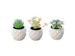 3 Peças de Planta Suculenta Simulada em Vaso Decoração Criativa Bonsai de Cerâmica em Forma de Abacaxi NEVEANCE