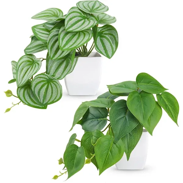 Conjunto Briful de 2 Pequenas Plantas Artificiais em Vaso Cerâmica, Plantas Falsas, a BRILVIBERA