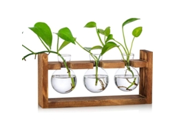 2026 vasos de Vidrio para Plantas com Base de Madeira Terrário Esférico para Lar Escritório Jardim 3 Unidades