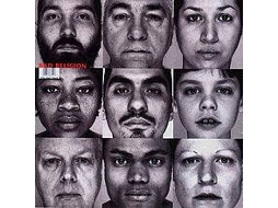 Vinil Bad Religion - The Gray Race