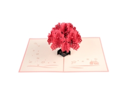 Laxiscreed Cartões Pop-up 3d Para Aniversários, Dia Dos Namorados E Ocasiões Especiais, Presentes Originais