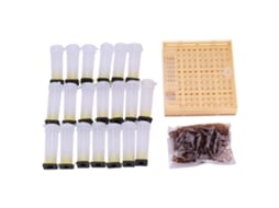 Kit de Criação de Rainhas com Caixa BEEKeeper
