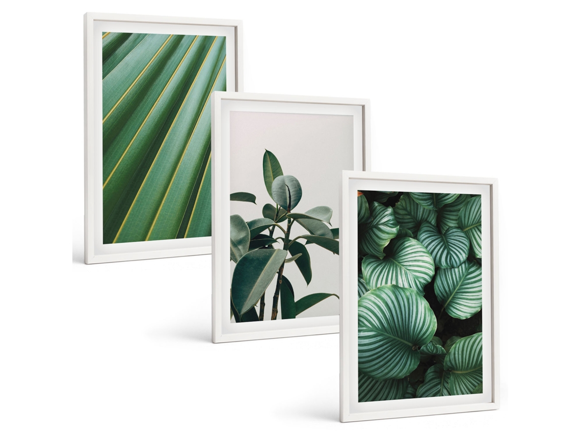 Quadros Decorativos Para Parede Folhas Tropicais Estéticas Moldura Branca Fotos Para O Escritório Espelharte (3 Piezas De 40x60 Cm)