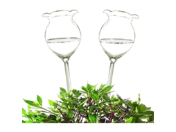 Bola De Rega Automática Para Plantas Em Vidro Transparente, Forma De Flor, 250ml, 1-3 Semanas